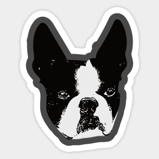 Boston Bull Terrier Face Sticker